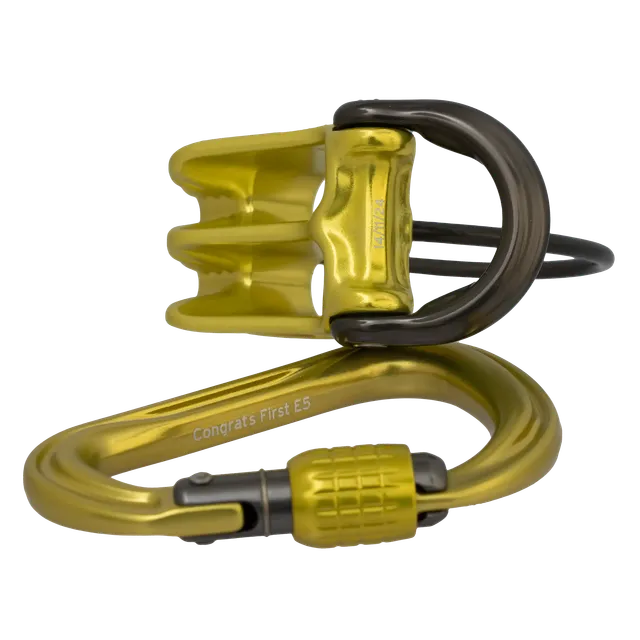 dmm-pivot-phantom-hms-set-sicherungsger-t-mit-karabiner-custom-text image 1