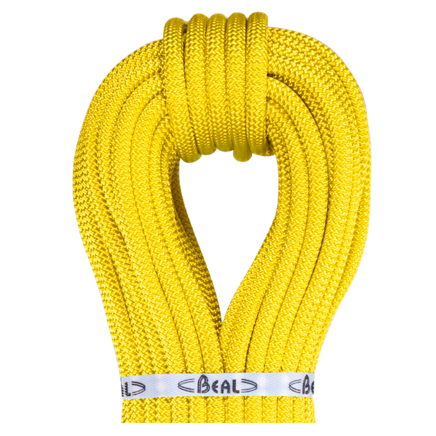 beal-spelenium-gold-9-5mm-semi-statikseil image 2
