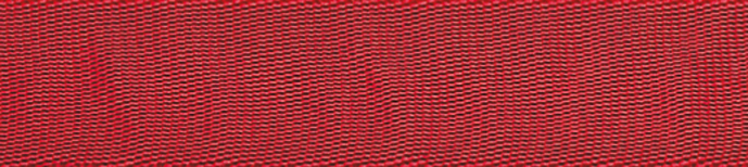 beal-tubular-26mm-american-type-schlauchbandschlinge image 6